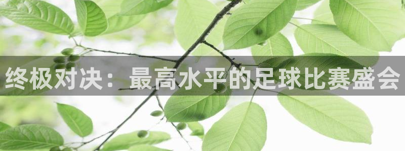 终极对决：最高水平的足球比赛盛会