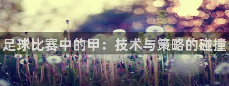  足球比赛中的甲：技术与策略的碰撞
