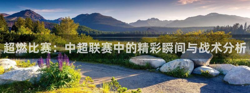 超燃比赛：中超联赛中的精彩瞬间与战术分析