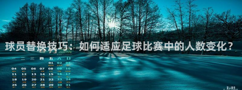 球员替换技巧：如何适应足球比赛中的人数变化？