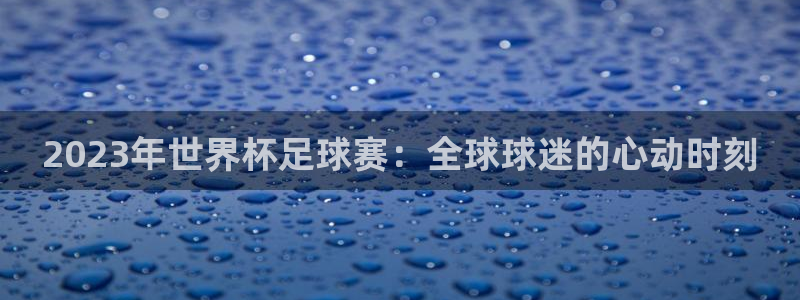 2023年世界杯足球赛：全球球迷的心动时刻