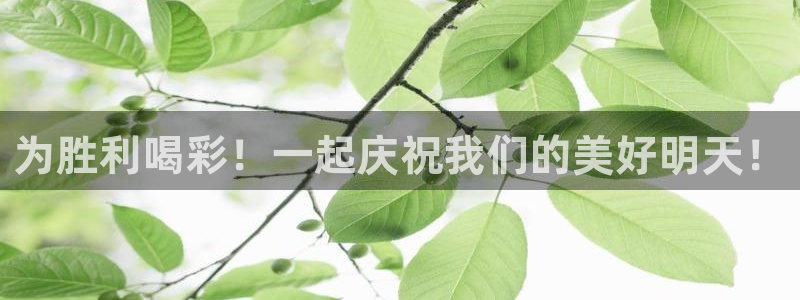  为胜利喝彩！一起庆祝我们的美好明天！