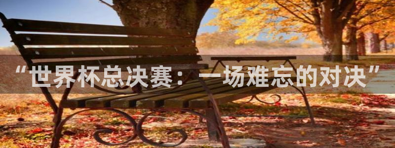 “世界杯总决赛：一场难忘的对决”