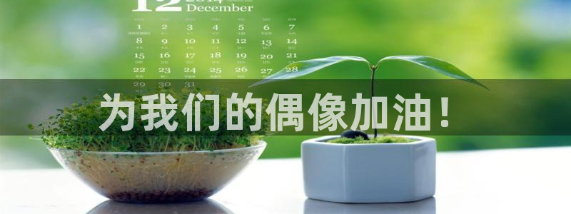  为我们的偶像加油！