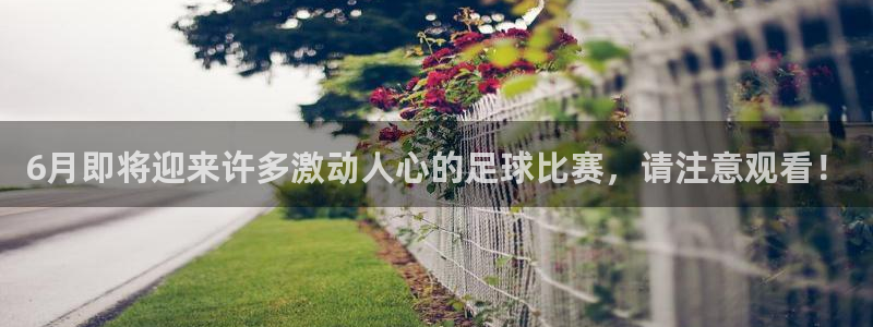  6月即将迎来许多激动人心的足球比赛，请注意观看！