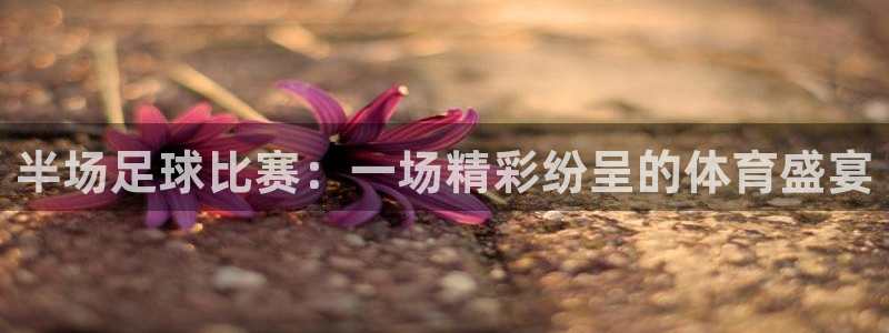  半场足球比赛：一场精彩纷呈的体育盛宴