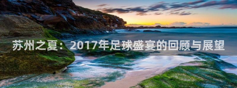  苏州之夏：2017年足球盛宴的回顾与展望