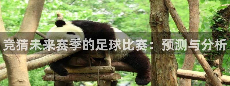  竞猜未来赛季的足球比赛：预测与分析