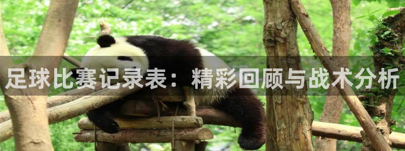  足球比赛记录表：精彩回顾与战术分析