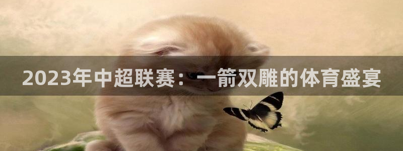 2023年中超联赛：一箭双雕的体育盛宴