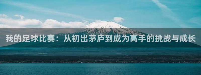 我的足球比赛：从初出茅庐到成为高手的挑战与成长