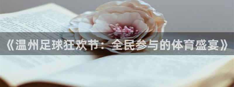 《温州足球狂欢节：全民参与的体育盛宴》