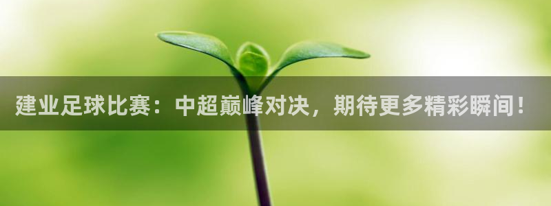 建业足球比赛：中超巅峰对决，期待更多