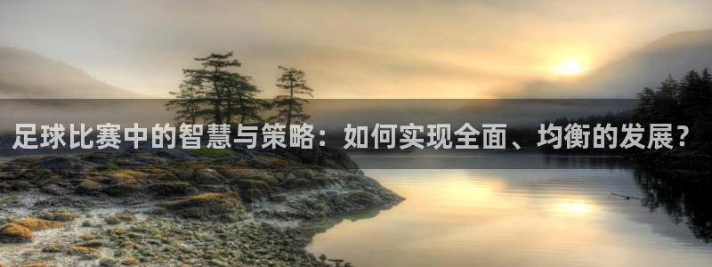 足球比赛中的智慧与策略：如何实现全面、均衡的发展？