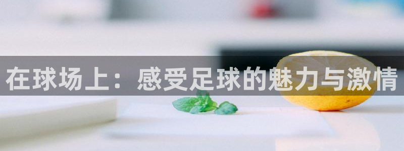 在球场上：感受足球的魅力与激情