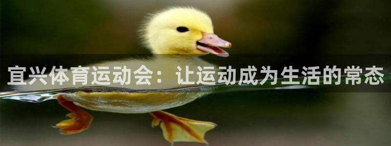 3377体育com