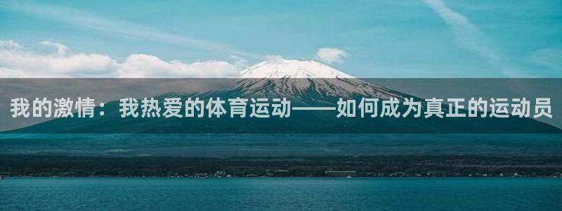 3377体育手机平台