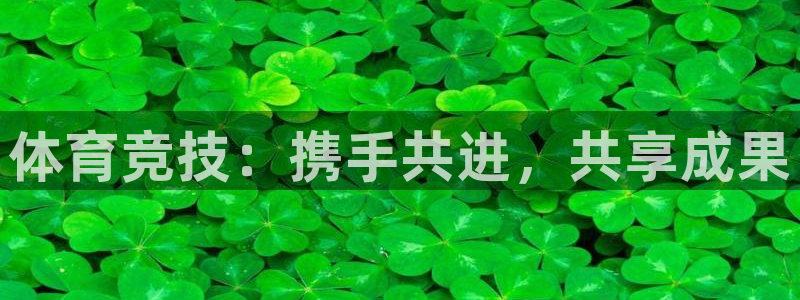 3377体育：体育竞技：携手共进，共享成果