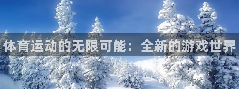 3377体育是正规平台吗：体育运动的无限可能：全新的游戏世界