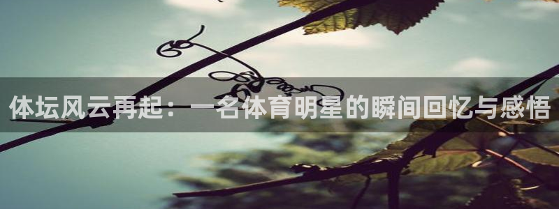 3377体育app登录入口：体坛风云再起：一名体育明星的瞬间回忆与感悟