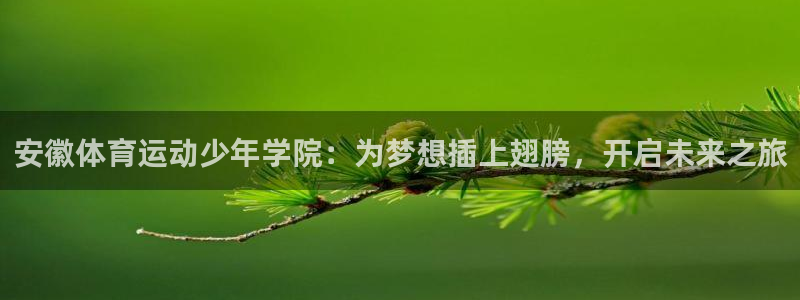 3377体育(中国)官方网站：安徽体育运动少年学院：为梦想插上翅膀，开启未来之旅