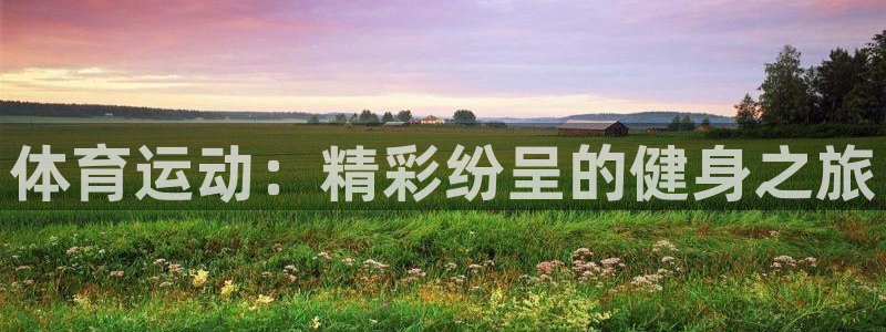 3377体育在线：体育运动：精彩纷呈的健身之旅