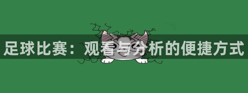 足球比赛：观看与分析的便捷方式