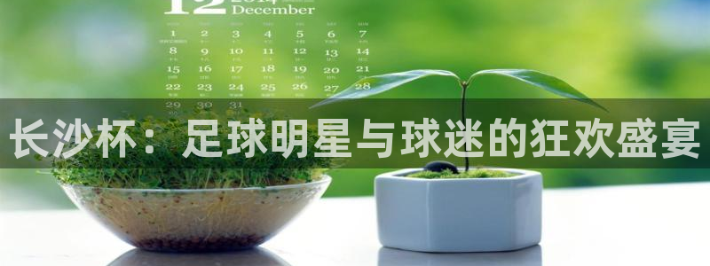 长沙杯：足球明星与球迷的狂欢盛宴