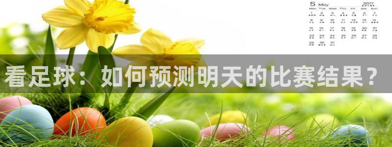 看足球：如何预测明天的比赛结果？