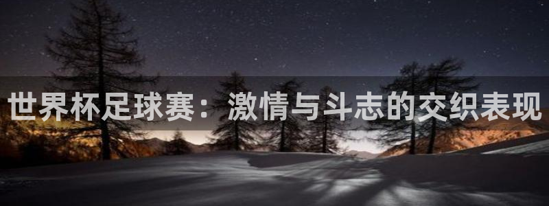  世界杯足球赛：激情与斗志的交织表现