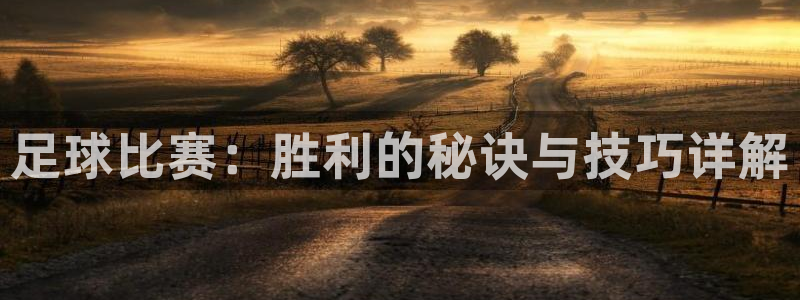 足球比赛：胜利的秘诀与技巧详解