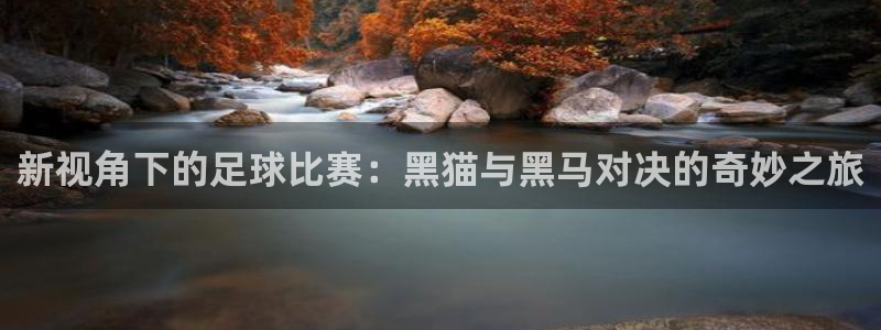 新视角下的足球比赛：黑猫与黑马对决的奇妙之旅