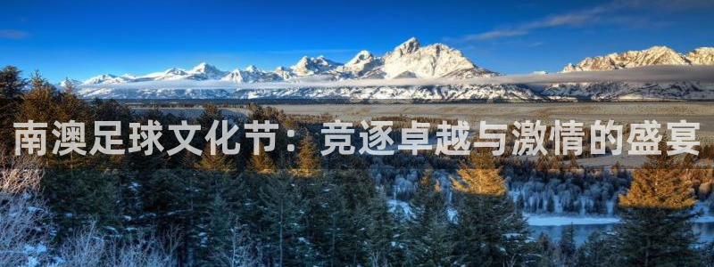  南澳足球文化节：竞逐卓越与激情的盛宴
