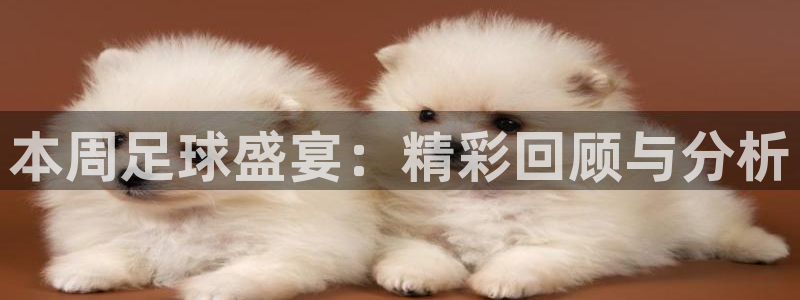 本周足球盛宴：精彩回顾与分析