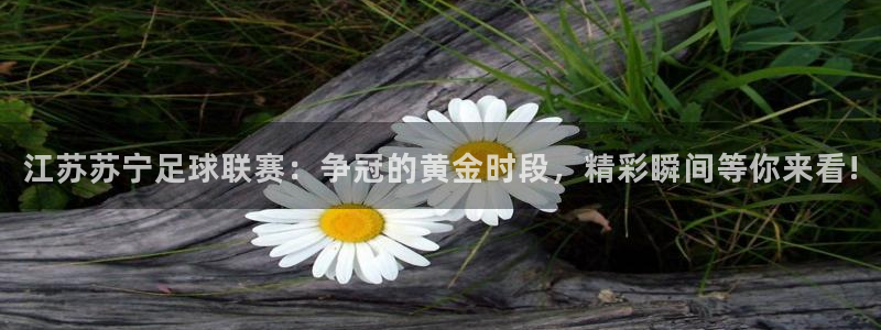 江苏苏宁足球联赛：争冠的黄金时段，精