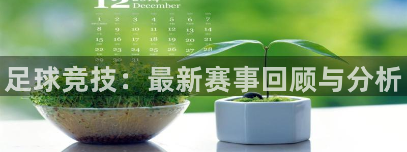 足球竞技：最新赛事回顾与分析