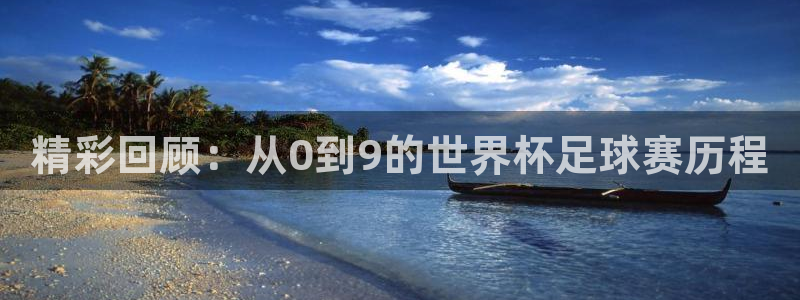 精彩回顾：从0到9的世界杯足球赛历程