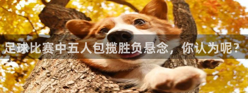 足球比赛中五人包揽胜负悬念，你认为呢