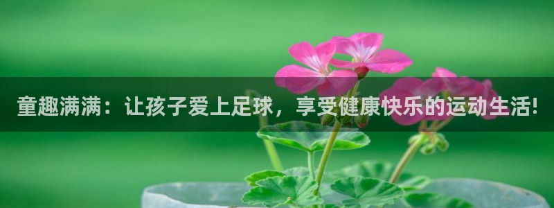 3377体育app官网下载地址