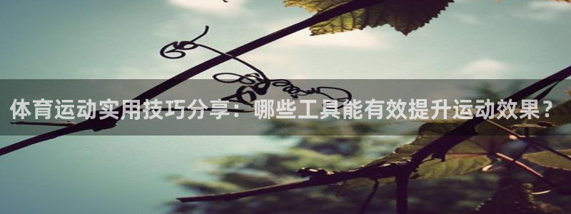3377体育官网：体育运动实用技巧分享：哪些工具能有效提升运动效果？