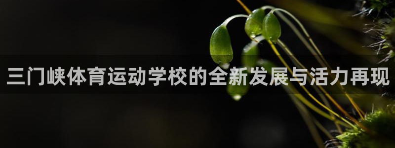 3377体育靠谱吗：三门峡体育运动学校的全新发展与活力再现