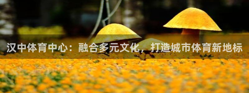 3377体育：汉中体育中心：融合多元文化，打造城市体育新地标